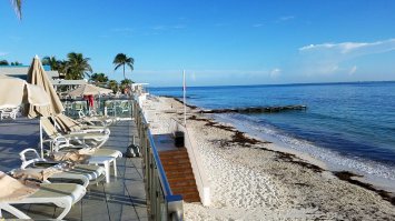 Если жить в отеле и не заходить на территорию местных трущёб, то вполне себе хорошо. Мы только в субботу вернулись из Канкуна. Там сейчас так много русскоговорящих, что даже меню дублировано на русском.