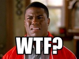 Огромный шершень напал на мышь