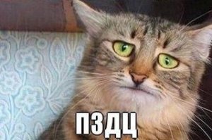 Конфуз