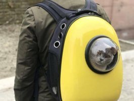Интересные домики для кошек, вдохновлённые космосом и космическими кораблями