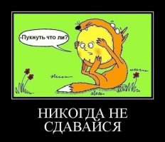 Никогда не сдавайся! Хряк напал на фермера по дороге на рынок и убил его
