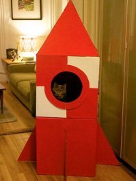 Интересные домики для кошек, вдохновлённые космосом и космическими кораблями