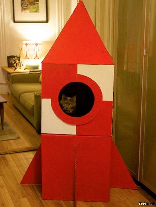 Интересные домики для кошек, вдохновлённые космосом и космическими кораблями