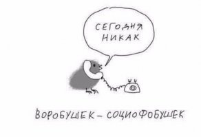 Отдых социофобушки