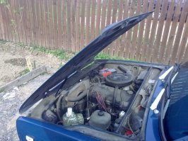 Это как раз в ведре котейке не где было бы поспать, а иномарках там целый диван.