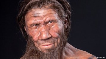 Еще в учебниках начальных классов было написано, что древние виды людей все вымерли.
Был приложен похожий рисунок.
И это было удивительно, потому что у меня в районе было пару десятков очень похожих мужиков)
Прошло много лет и их популяция не уменьшается!