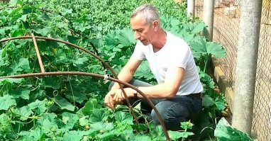 Маринованные Халапеньо