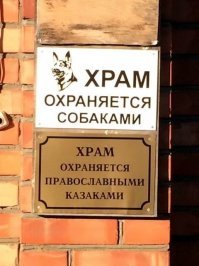 Кошачьи демотиваторы