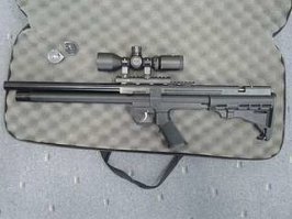 Целая стая собак держит в страхе одну из улиц Ростова-на-Дону 