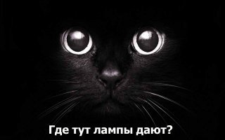Кому тут виндоуз переустановить пару раз, а потом и сеть хорошенько настроить?