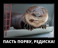 Как ругались на Руси до появления мата