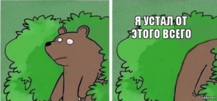 Реакция медведя на поцелуй молодоженов