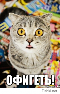 Мини-юбки девочек начала 1980-х годов