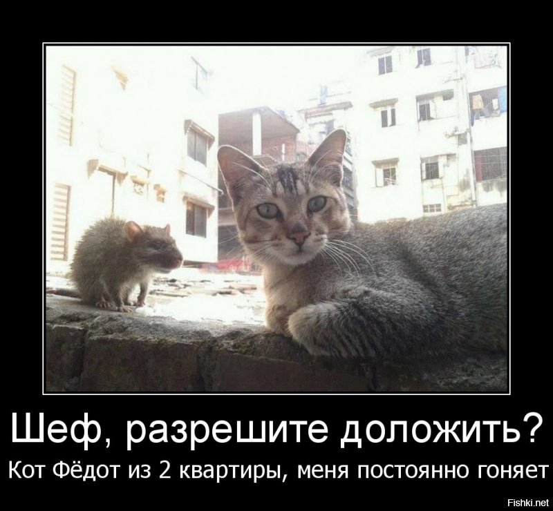 Добавка: