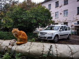 глядя на эту фотографию подписано что сделано в Сыктывраре. Здания в ужасном состоянии-трукаторка осыпается, некоторые окна в бичевском состоянии, электоропроводка наружняя(это как зимой и сырое время года?), вход в подъезд как в вход в подвал это все потому что дом из-за мерзлоты под тяжестью уходит в землю, теплотрасса кое-как за изолирована но благо где есть сидеть котам,  дворовая територия запушена -дервья заброшены,трава не подстрижена и растет как сорняк, явно у народа с благостоянием проблемы машин на стоянке нет, а обладатель лады -ларгуса наверное чувствует себя в этом доме как хозяин порше и ли гелика этого дома