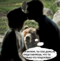 Реакция медведя на поцелуй молодоженов