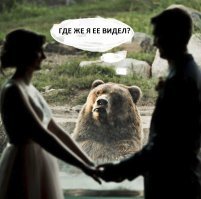 Реакция медведя на поцелуй молодоженов