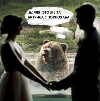 Реакция медведя на поцелуй молодоженов