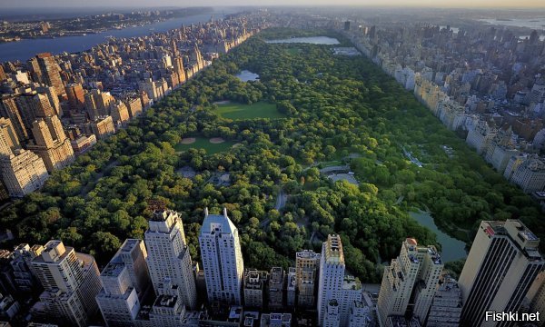 а Центральный парк Нью-Йорка вовсе крохотный и окружен бетонными сооружениями.


Длина парка   около 4 километров, ширина   около 800 метров, общая площадь   3,41 км . 

Ну ты и с3, 14здеееел!