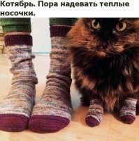 Когда отопление в топе ожидаемых событий каждой осени