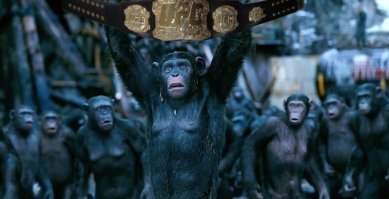 Громкий PR не сработал: Хабиб Нурмагомедов задушил Макгрегора