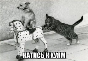 Буду краток, иди нах#й!