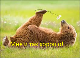 Реакция медведя на поцелуй молодоженов