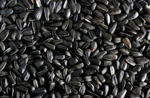 Не сойлентом единым