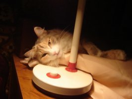 И чего только не бывает....