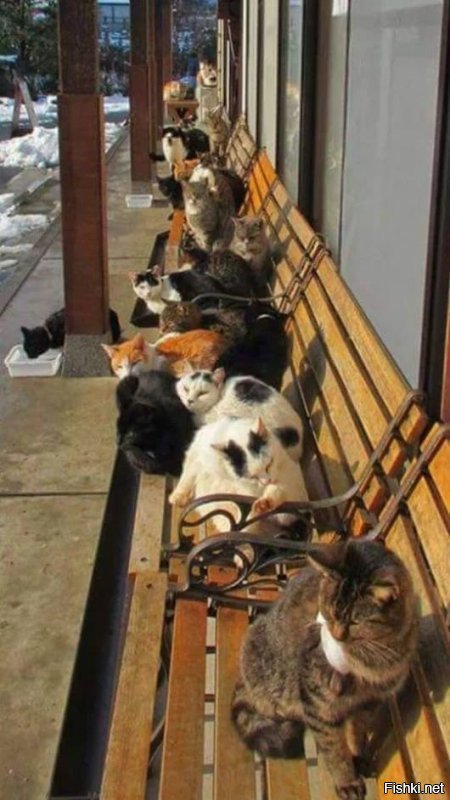 1)Когда-то на рижском центральном рынке сфоткал.
Далее, подборка с нета.