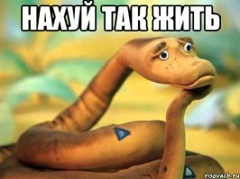 Самка ягуара и ее детеныш дерутся из-за добычи - 5-метровой анаконды