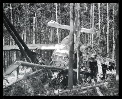 Невероятной можно назвать аварийную посадку 22 августа 1987 г. самолёта АН-2, регистрационный номер СССР-01641. Самолет 116 летного отряда (Западно-Сибирское УГА, Новосибирский ОАО) произвел вынужденную посадку на лес с высотой деревьев 20-30 м, расположенного в черте г. Новосибирска, из-за отказа двигателя (заклинило из-за обрыва шатуна). На борту находилось два члена экипажа и двенадцать пассажиров. Пилотам удалось спланировать через высоковольтную ЛЭП, однако вокруг был только сосновый бор и высоты уже не хватило дотянуть до открытого пространства и самолёт рухнул в лес. Пострадавших на борту и на земле нет. Более того пассажиры летевшие этим рейсом на свадьбу в село, в этот же день были отправлены к месту назначения другим бортом. Фото с места события Виктора Крейдера