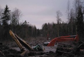 Безумству храбрых... Или о слабоумии и отваге