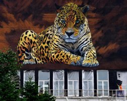 Очень красивые!. Молодцы, кто рисовал. У нас во Владике тоже есть одно красивое. Чилиец нарисовал, который по всему миру ездит и рисует.  Но, к сожалению, здание скоро снесут и рисунок исчезнет...   (