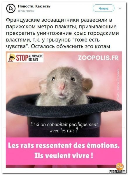 Ехал недавно на велике с работы домой. Передомной как раз крыса перебежала дорогу, первая мысль "переехать эту тварь".