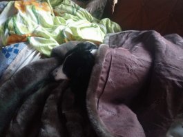 Когда отопление в топе ожидаемых событий каждой осени