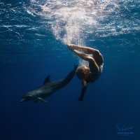 Удивительные фотографии, которые были сняты под водой