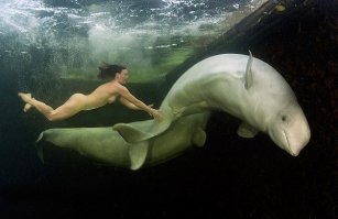 Удивительные фотографии, которые были сняты под водой