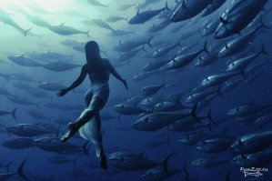 Удивительные фотографии, которые были сняты под водой