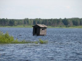 Сам снимал)