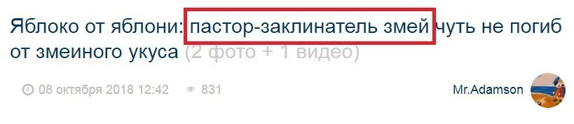 Интересненько...  А какие смежные профессии у них ещё есть?
Учитель-металлург?
Полицейский-флорист?
Судья-таксист?
Конгрессмен-парашютист?..