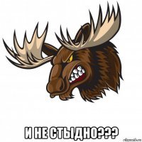 Котлеты из лосятины