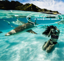 Удивительные фотографии, которые были сняты под водой