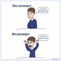 Отдых социофобушки
