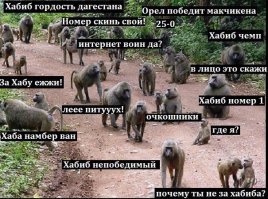 Последствия боя между Хабибом и Конором сотрясают весь мир