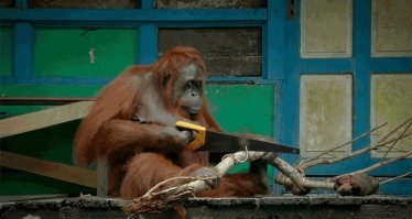 Спиливавший дерево рабочий чуть не убил велосипедиста