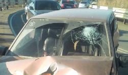 ремни безопасности для трусов...