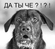 Монстры и городские легенды Северной Америки, или Закусывать надо!