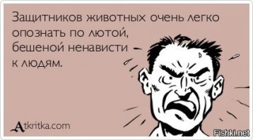 А по вам, маминька, клиника им. Кащенко плачет. Вас там ох как заждались!