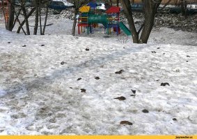 Это слишком маленькие штрафы, за этим никто следит не будет попросту. Вот когда за мусор или какашки или отсутствие намордника у здоровенной псины будет офицальный штраф хотя бы 8-10 тыс, тогда у полицейских будет стимул сдирать с нарушителя бабки и тогда со временем станет явно чище.